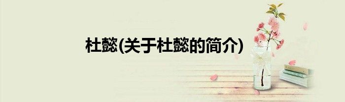 杜懿(关于杜懿的简介)