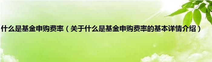 什么是基金申购费率（关于什么是基金申购费率的基本详情介绍）