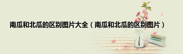 南瓜和北瓜的区别图片大全（南瓜和北瓜的区别图片）