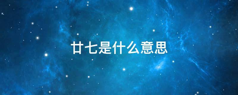 廿七是什么意思