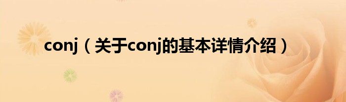 conj（关于conj的基本详情介绍）